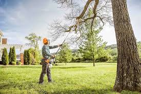 Nyssa, OR Tree Services Company